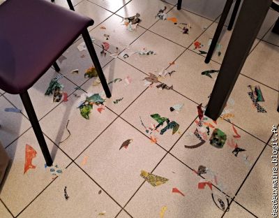 1 / Avant, mais . . . après les premiers essais !